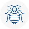 Bed Bug Extermination In Mansfield Woodhouse